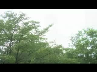 forbidden love (japan) movie iii (episode 1)