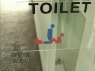 sex in the toilet